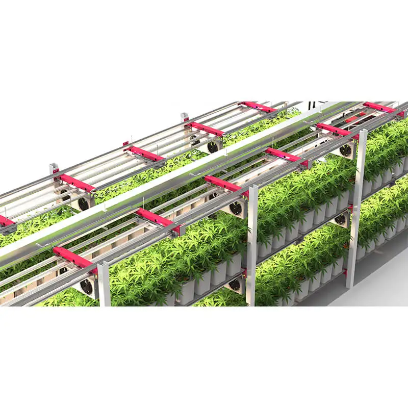 トマト、イチゴ、緑豊かな緑、マイクログリーンのような植物のすべてのタイプのためのボックスミニ温室輸送コンテナファームを育てます