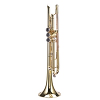 LADE Professional Bb Flat Brass Trumpet Instrument Set Kit Accessory