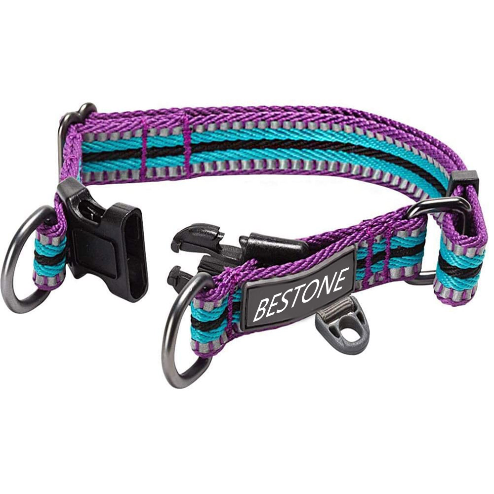 Недорогой модный нейлоновый собачий ошейник Martingale с индивидуальным дизайном