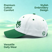Gorra de Béisbol Bordada de Dos Tonos con Visera Curva Ajustable, Estilo Urbano, con Contraste de Color, para Hombre y Mujer
