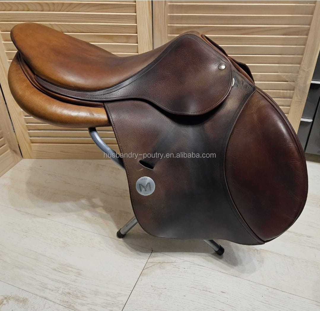 Selle Mixte Cheval: Choix Polyvalent pour Cavaliers