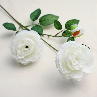 3 heads (2 flowers and 1 bud) of white ranunculus