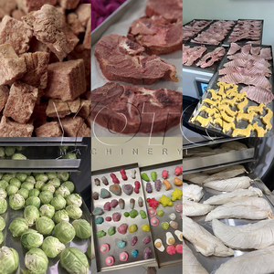 เครื่องอบแห้งแช่แข็งอาหารทำจากสแตนเลสสตีล30กก. ผลิตภัณฑ์จากผลไม้มังกรแช่แข็งจากประเทศไทย - Product Image 4