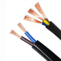 Kabel RVV Pipih Inti Tembaga Terlilit 2/3 Inti 0.5mm 300/500V Berlapis PVC Tipis Fleksibel untuk Pemanas Kabel Tersembunyi Furnitur/Lemari