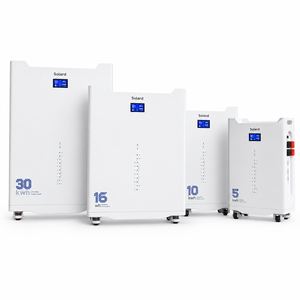 Batterie de stockage LiFePO4 solaire autonome extérieure 16 kWh 51,2 V 314 Ah empilable, intelligente, Wi-Fi, sans entretien et fiable - Product Image 1