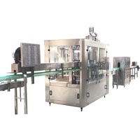 Oranje Mango Druif Wortelsap Productielijn 3 In 1 Pet Fles Appelconcentraat Bottelmachines Sap Vulmachine