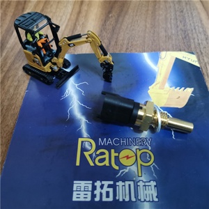 เซ็นเซอร์วัดอุณหภูมิน้ำ DX225 รุ่น 65.27423-7003 - Product Image 3