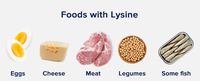 Bubuk L-Lysine Berkualitas Tinggi Kelas Makanan 99% CAS 56-87-1 Bubuk Lysine