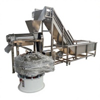 Roestvrijstalen schroefpers, machine voor het vermalen en persen van passievrucht, wortel en ananas, -persmachine voor sapseparatie
