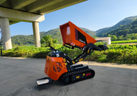 Mini-dumper hydraulique sur chenilles Antspower 2026 homologué CE, motorisé par un moteur à essence de 13,5 CV, capacité de charge de 600 kg