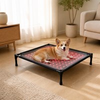 Tapis chauffant pour animaux de compagnie ZT 660nm 850nm LED, rectangle, en textile, avec thérapie par lumière rouge pour toutes les saisons, design moderne, imperméable