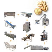 Machine de traitement du gingembre de qualité supérieure, prix compétitif, ligne de traitement automatique du gingembre pour la transformation du gingembre