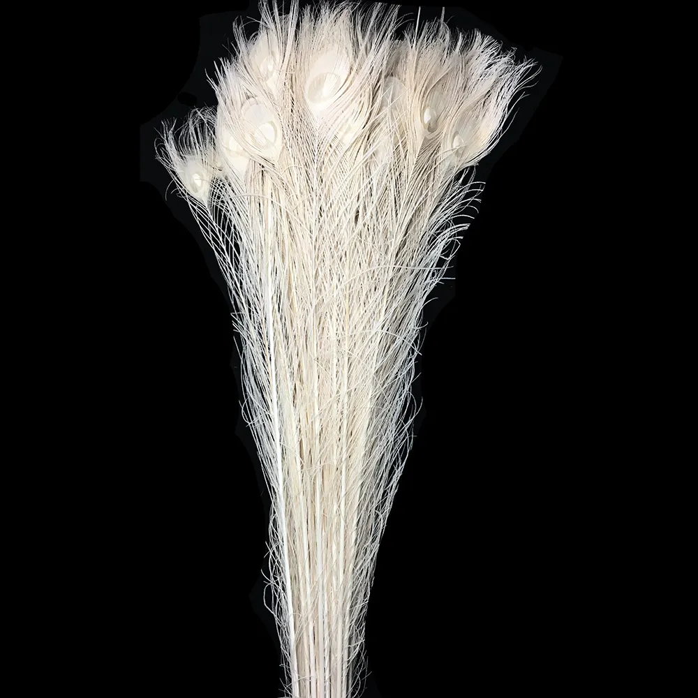 De alta calidad de longitud 30-35 pulgadas blanco de pluma de pavo real de la joyería de bricolaje Decoración Accesorios Artificial de plumas de pavo real