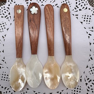 <span class=keywords><strong>New</strong></span> Arrival ngọc trai tự nhiên Vỏ bữa ăn tối muỗng trứng cá muối kem tráng miệng thìa với tay cầm bằng gỗ biểu tượng tùy chỉnh - Product Image 2