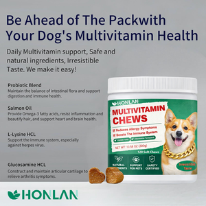 Friandises multivitaminées pour animaux de compagnie, probiotiques pour chiens, soutien à la santé intestinale, supplément multivitaminé 15 en 1 - Product Image 2