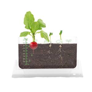 Onshine Little Plant Researcher, boîte de culture transparente pour la croissance des racines, kit éducatif DIY pour enfants de 4 à 6 ans - Product Image 2