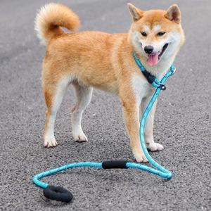 Correa para perros de nailon, retráctil, manos libres, para perros pequeños, medianos y grandes, para entrenamiento y paseo - Product Image 1