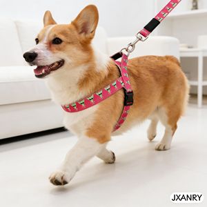JXANRY Productos <span class=keywords><strong>para</strong></span> Mascotas - Correa de Pecho <span class=keywords><strong>para</strong></span> Perro con Bordado por Transferencia Térmica, Collar de Nailon con Cierre de Hebilla <span class=keywords><strong>para</strong></span> Pasear <span class=keywords><strong>Perros</strong></span> - Product Image 5