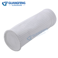Filtre ultra-fin GF 0,5 µm pour sac filtrant PPS, filtre de collecte de poussière pour les cendres volantes des centrales électriques
