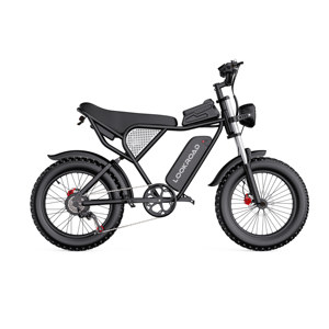 Vélo électrique longue portée L20 en stock UE, 48V 20Ah, 80Nm de couple, frein à disque hydraulique, Shimano 7 vitesses, E-Bike tout-terrain à pneus larges - Product Image 4
