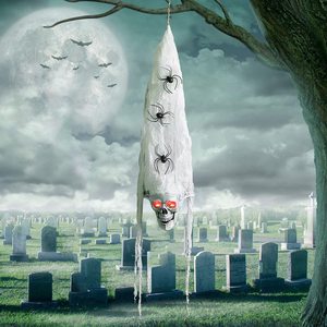 DAMAI Halloween Hanging Skeleton Skull Activated Decorations with Spooky Voice LED Eyes Spider for Halloween Party Yard Outside - Product Image 2