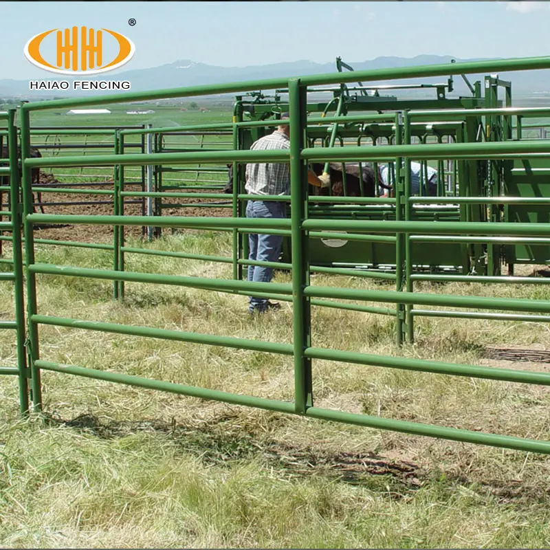 Hot sale 6'high 12' wide rail oval pipe galvanized livestock corral panels horse panels