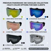 Lunettes de ski OEM ODM NAISHA Modèle 001, personnalisation du logo, matériau TPU, couleur des verres, protection anti-lumière bleue, protection UV, polarisées
