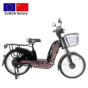 26 인치 전기 화물 자전거 EU 공장 안티 덤핑 의무 ebike 36V/48V G2008AS 후면 모터 새로운 모델 pedelec 전자 자전거