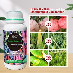 Green <span class=keywords><strong>Seaweed</strong></span> Liquid <span class=keywords><strong>Seaweed</strong></span> Fertilizer Melhoria do rendimento das culturas com raiz e folha Função Restauração - Product Image 5