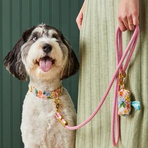Persediaan hewan peliharaan Logo warna khusus klasik panjat gunung awet buatan tangan tali bulat tali anjing dengan Aksesori logam emas - Product Image 3