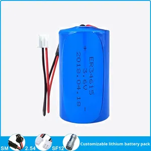 Ультразвуковой уровнемер ER34615, электрический газовый счетчик, расходомер, IoT-локатор, аккумуляторный блок 19А, Китай - Product Image 2