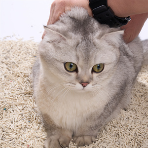 Diskon besar kotoran kucing cepat menggumpal dapat dibuang kotoran kucing tahu campuran kotoran kucing a berkat untuk malas - Product Image 3