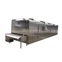 Iqf Bevroren Groente Fruit Wassen Blanching Verwerking Machine Lijn Lijie Merk Ljds2000 Model 380V Multifunctionele Motor Hoog
