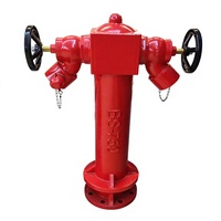 Hydrant d'incendie extérieur en fer BS EN DN100 DN150, type à long tuyau standard avec vanne en cuivre en option