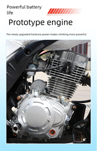 Ventes directes d'usine de <span class=keywords><strong>moto</strong></span> compacte et flexible à trois <span class=keywords><strong>roues</strong></span> pour voitures de tourisme à essence/tricycle à carburant - Product Image 5