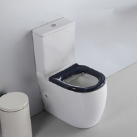 Siège de toilette ergonomique à rabat pour personnes âgées et handicapées, monobloc, accessible, pour hôpital public, salle de bain sanitaire, armoire de toilette pour seniors