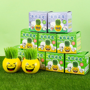 Caja Sorpresa con Bonsái en Miniatura, Planta Artificial Decorativa para Escritorio, Diseño de Dibujos Animados, Maceta de Plástico, Regalo para Oficina o Interiores - Product Image 1