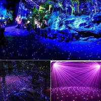 Niveau extérieur IP66 2W 3W DMX Full Color Firefly RGB Starry Sky Star Etoile Waterproof Garden Park Laser Star Lights Show