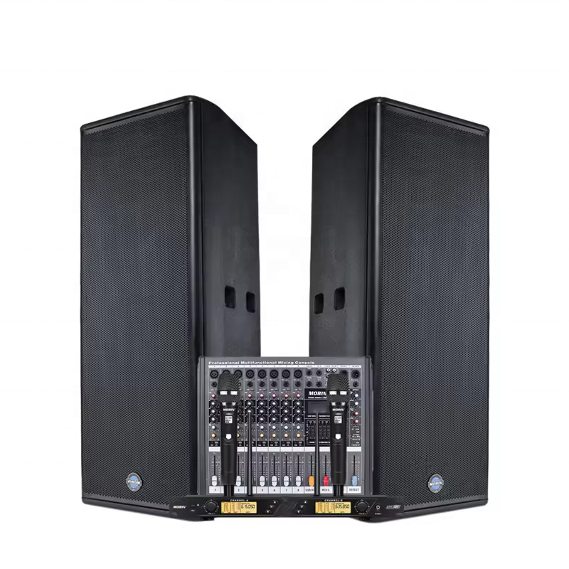 Professional Audio Pa Dj Outdoor Speaker