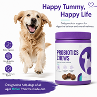 Probiotiques pour chiens et chats : Friandises à mâcher molles pour le soulagement des gaz et des ballonnements, en vrac, pour le bien-être quotidien des chiens et des chats – Fabricant