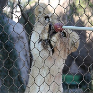 Nuevo producto Durabilidad Cable de acero inoxidable Cuerda Zoo Malla para Wild Park Usa Flexible - Product Image 4
