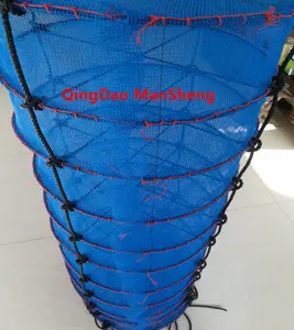 scallop farming lantern net