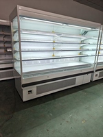 Vitrine Réfrigérée Commerciale Multifonctionnelle à Large Application pour Yaourts, Viandes, Fruits, Boissons et Snacks