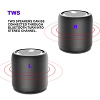 Markdown Sale Portable Étanche Noir Blanc Finition Mini Haut-Parleur Bluetooth avec Radio FM