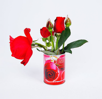 Haricots magiques pour enfants, nouveauté, cadeaux de jardinage à domicile pour la plantation sur balcon, jouet de Noël festif, en boîte métallique, Tongqu fait main