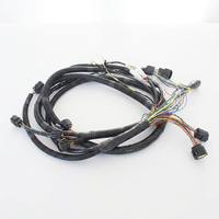 Produsen Perakitan Kabel Profesional China, Kabel Harness Sepeda Listrik