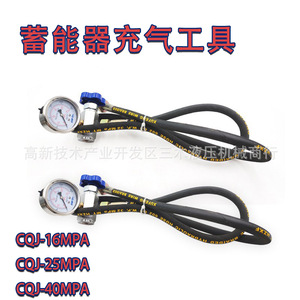 Cqj Hydraulic Accumulator Charging <b>Tool</b> 16 25 40Mpa High Pressure Nitrogen Filling Valve For <b>Shearing</b> Machine - Product Image 1