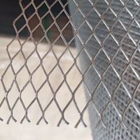 Fabricant de treillis métallique expansé en acier inoxydable - Étanche, facile à assembler pour les grilles de voiture, les clôtures, les treillis et les portails (Nature)