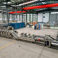 Machine de friture automatique en acier inoxydable pour la production continue de chips et de snacks soufflés