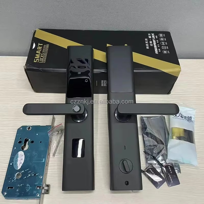 Digital Smart Door Lock WiFi High Security Gold Color Compatible Tuya App for Aluminum Memory Card Home Hotel Apartments Offices · image 3